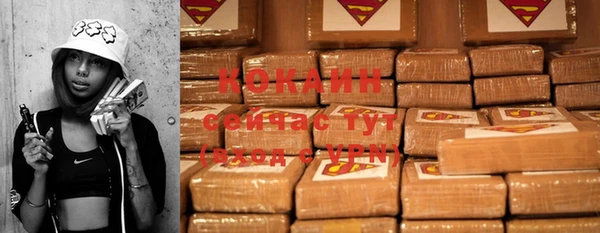 гашик Сатка