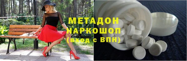 сатива Белокуриха