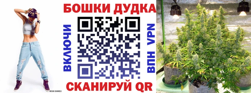 Шишки марихуана сатива сколько стоит Вытегра